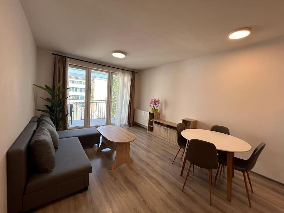 Modern With Garage Apartment